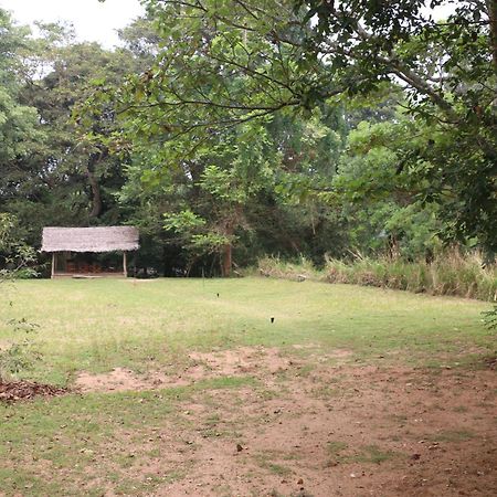 Вілла Wildescape, Yala Blocks 3 & 5 Buttala Екстер'єр фото