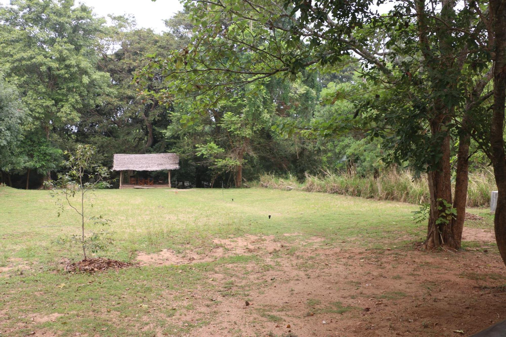 Вілла Wildescape, Yala Blocks 3 & 5 Buttala Екстер'єр фото