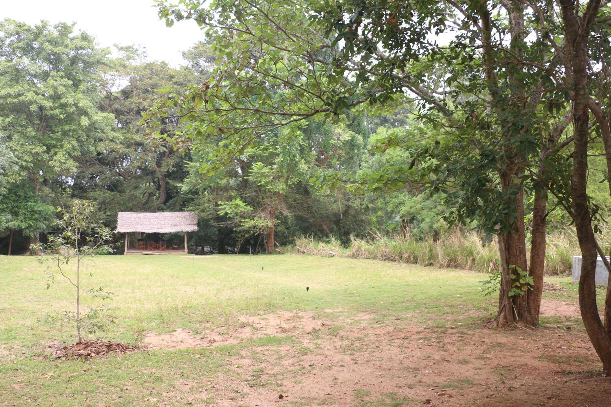 Вілла Wildescape, Yala Blocks 3 & 5 Buttala Екстер'єр фото