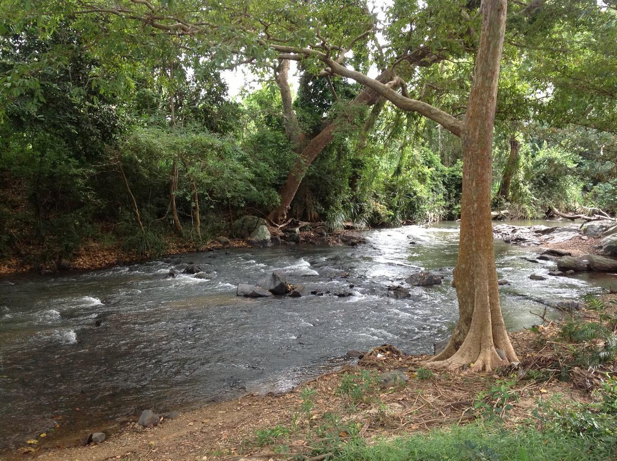 Вілла Wildescape, Yala Blocks 3 & 5 Buttala Екстер'єр фото