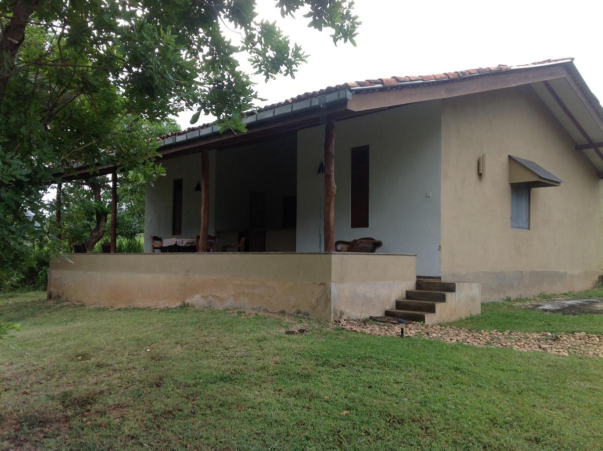 Вілла Wildescape, Yala Blocks 3 & 5 Buttala Екстер'єр фото